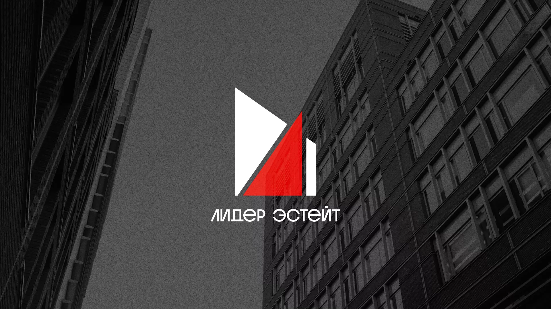 Сделали логотип для агентства недвижимости «Лидер Эстейт» в Мелеузе